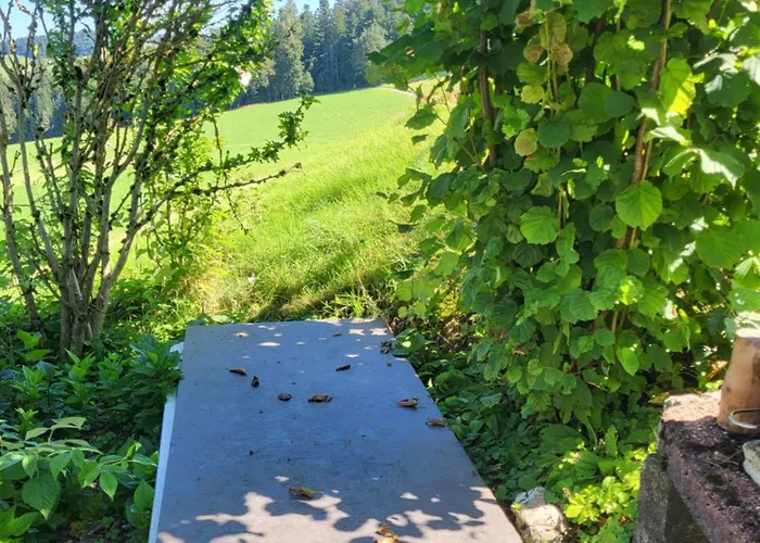 Chalet Im Gruenen