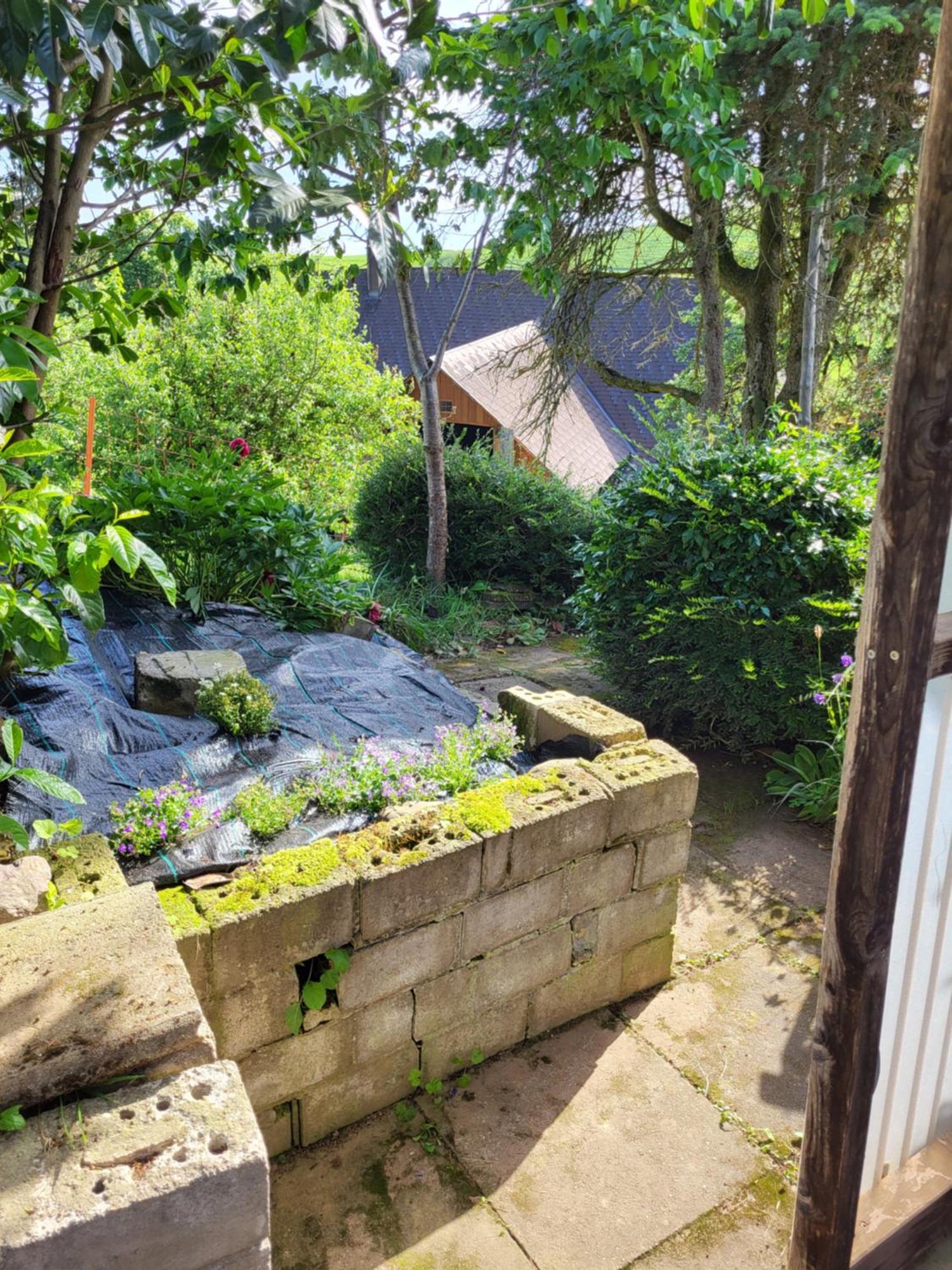 Chalet Im Gruenen *
